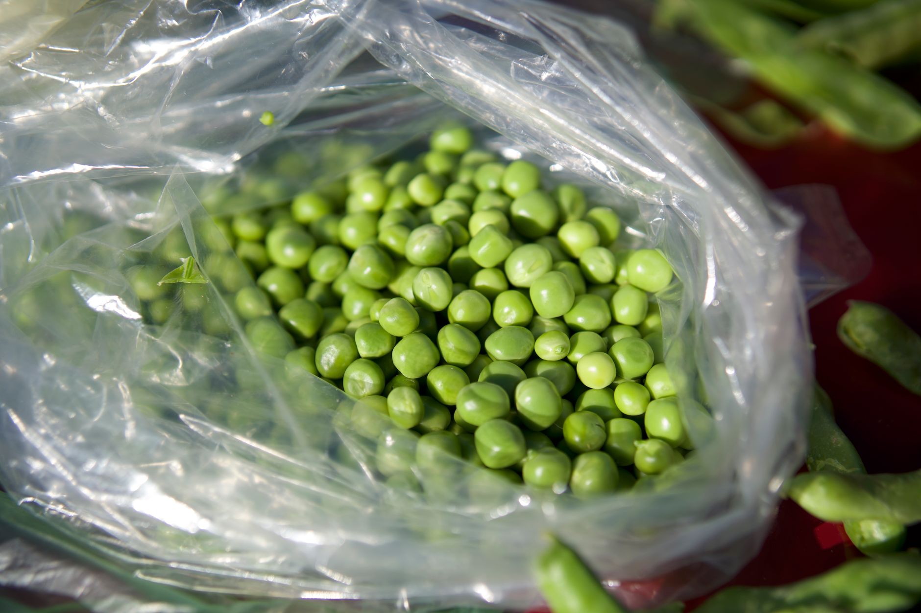 Peas frozen in a labeled freezer bag