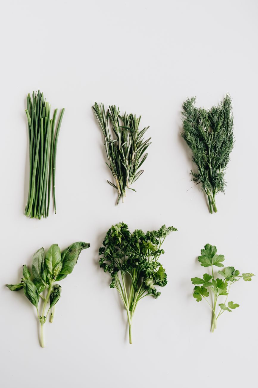 Freshly harvested bunches of chives and herbs