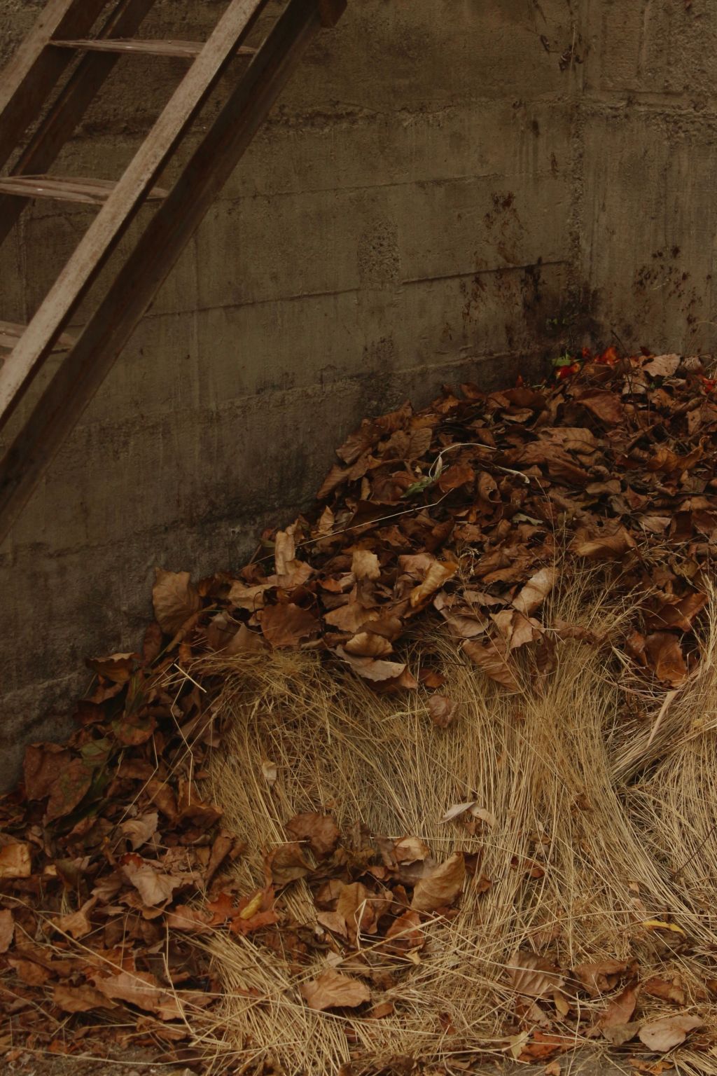 Composting 101: Turning Fall Cleanup Into Next Year’s&nbsp;Soil