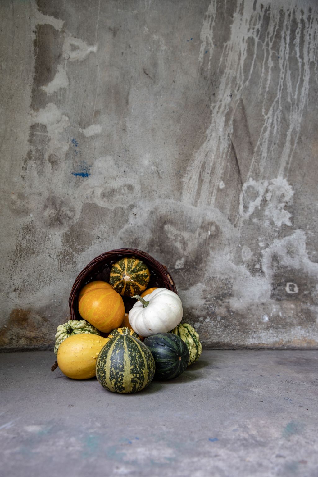 Curing and Storing Winter Squash for Months of Good&nbsp;Eating