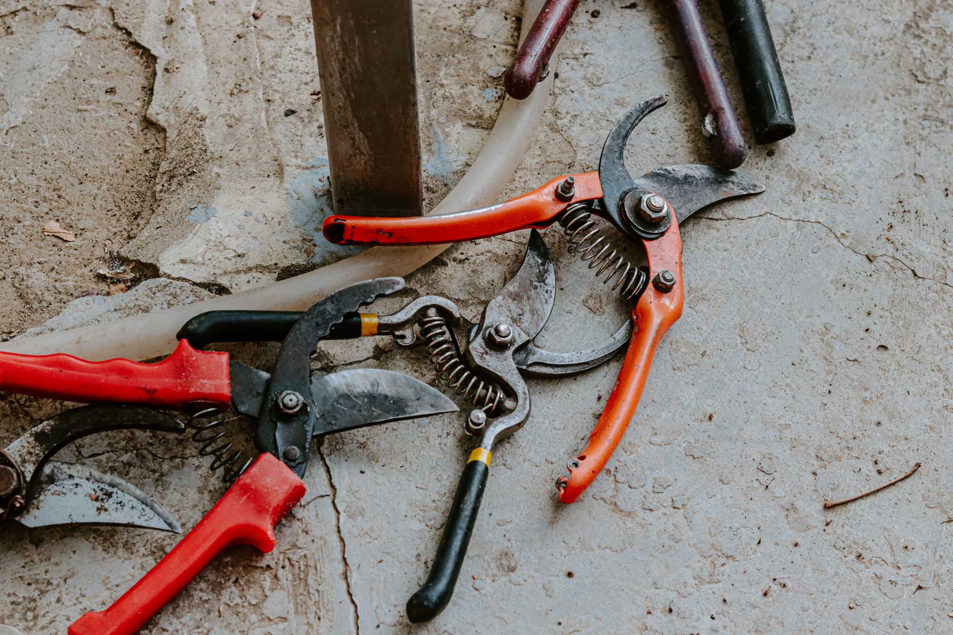 Close-up of pruning shears and garden tools ready for fall cleanup