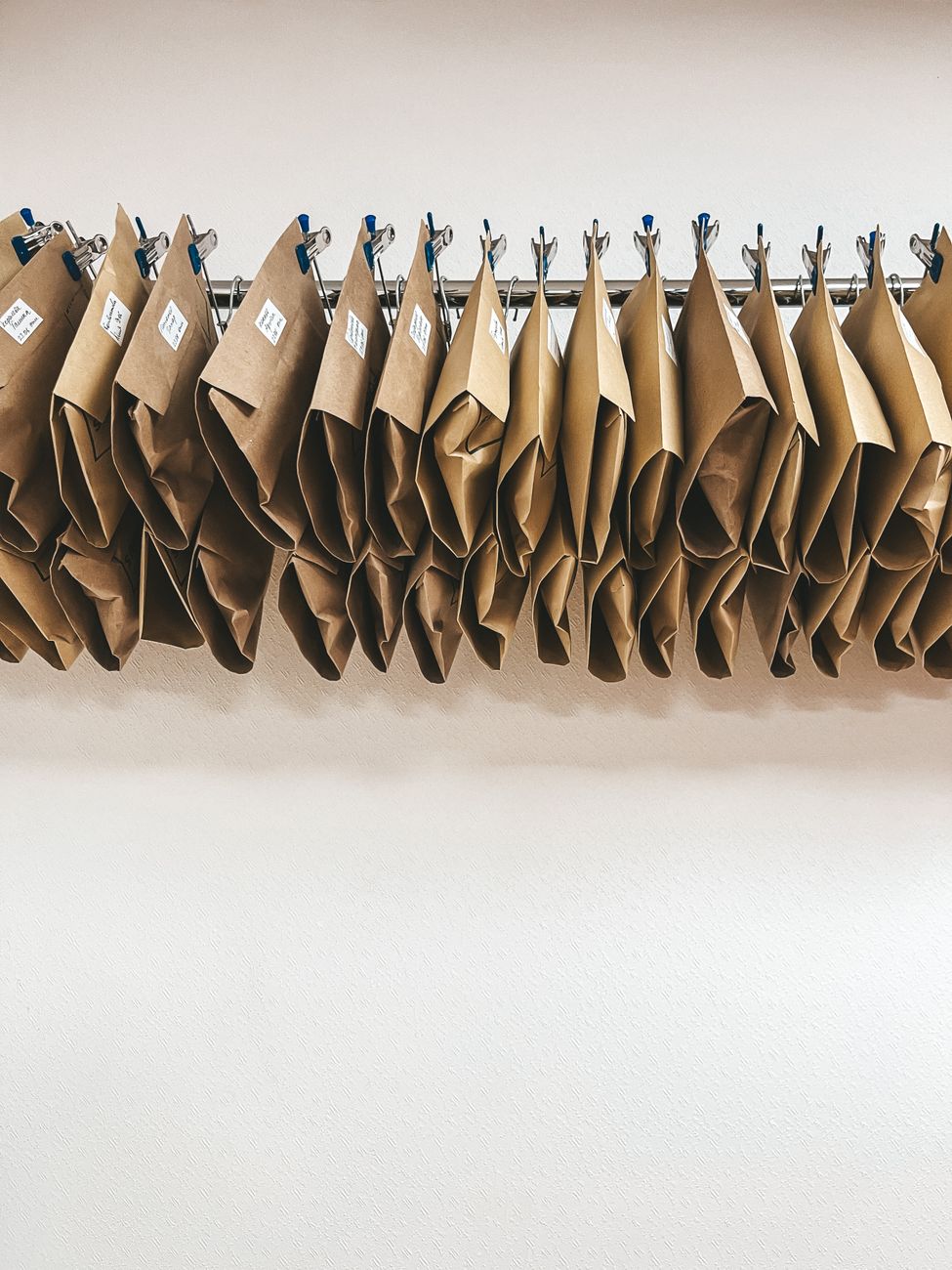 Rows of labeled paper seed envelopes for organized storage