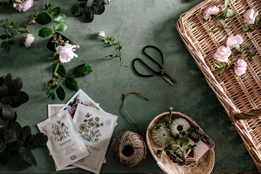 Building Your 2027 Seed Wishlist: Planning Next Year’s Garden&nbsp;Now